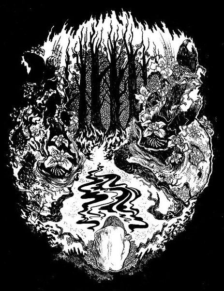 Ash Borer : Discography 2009-2011 (2xCass, Comp, Ltd)