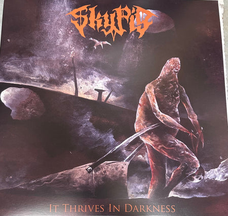 Sky Pig : It Thrives In Darkness (LP, Roo)