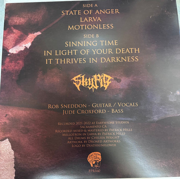 Sky Pig : It Thrives In Darkness (LP, Roo)