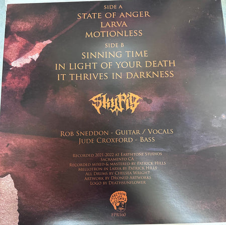 Sky Pig : It Thrives In Darkness (LP, Roo)
