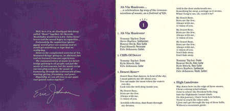 Eric Johnson (2) : Ah Via Musicom (CD, Album)