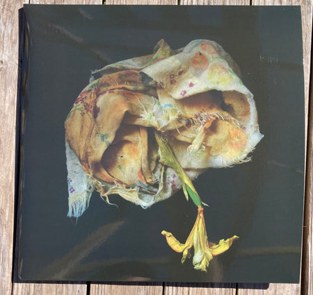 Point Of Memory : Void Pusher (2xLP, Album, Ltd)