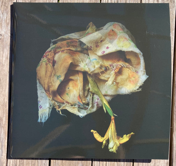 Point Of Memory : Void Pusher (2xLP, Album, Ltd)