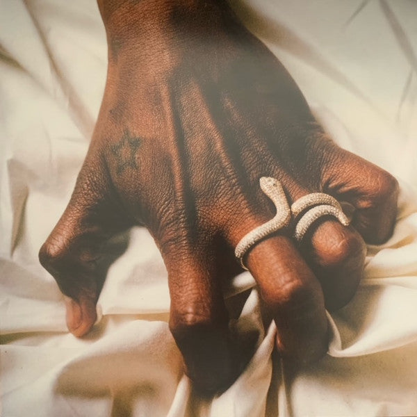 Usher : Coming Home (2xLP, Album, Cle)