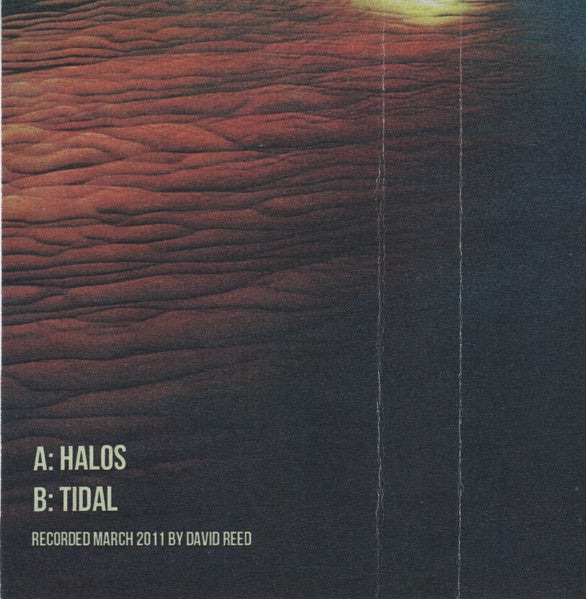 Envenomist : Visions (Cass, Ltd, C30)