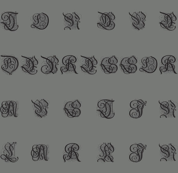 Tongue Depressor + Austin Larkin (2) : Landau Bar (LP, Album)