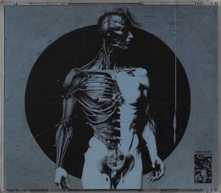 Randy Greif : Lost Contact (CD, Album, RE)
