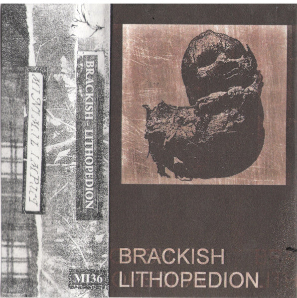Brackish (2) : Lithopedion (Cass, EP, Dub)
