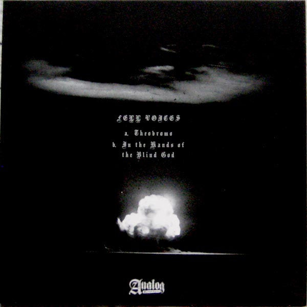 Fell Voices : Demo 2008 (LP, Ltd, RE, RM, Gre)
