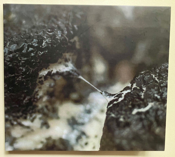 Eloine : Moldy Cushions (CD, Album)