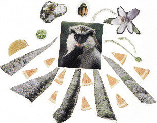 Silvia Kastel : Love Tape (Cass, Album, C30)