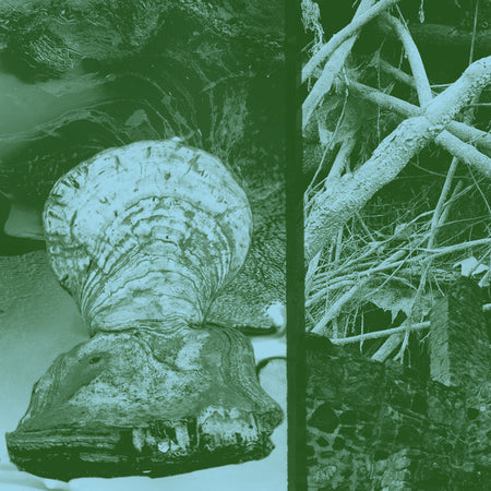 Barrett E. Lediard : Comet Kept Crashing (Cass, Album)