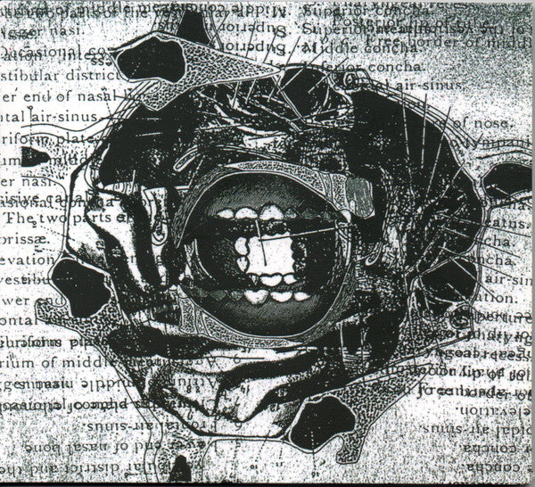 Gabriele Giuliani : Rinite Vasomotoria Cronica (CD, Album)