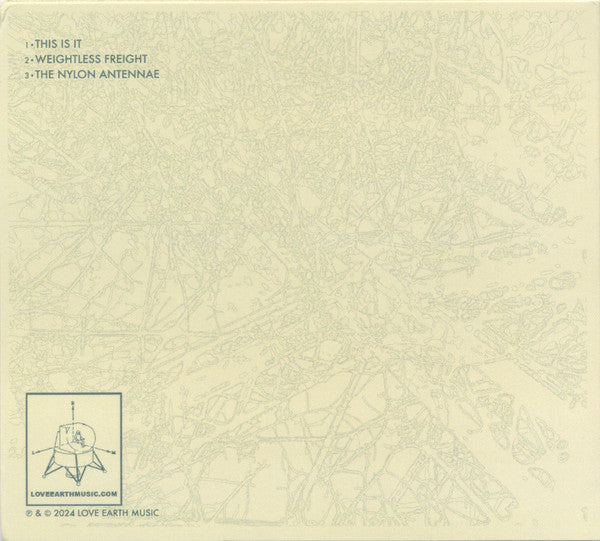 Howard Stelzer & Richard Youngs : This Is It (CDr, Album)