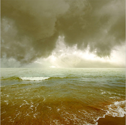 The Human Quena Orchestra : A Natural History Of Failure (LP, Ltd)