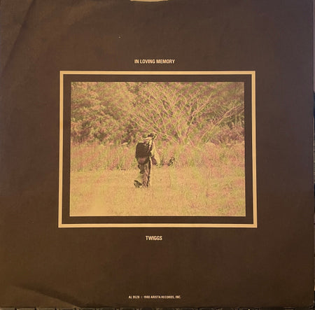 Dixie Dregs : Dregs Of The Earth (LP, Album, San)