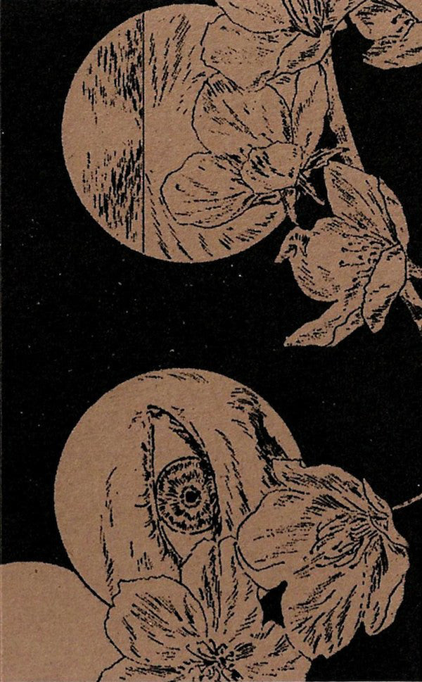 Ruin Lust : Ruin Lust (Cass, Ltd, Num)