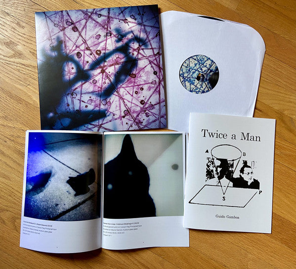 Guido Gamboa : All Is Not Coherent in Nature: Polystudies for Algorithm & Electric Guitar  (LP, Album)