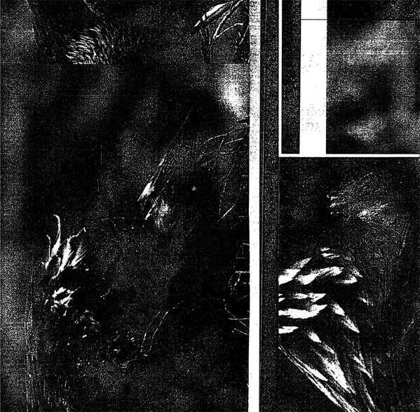 Mario De Vega : A M P H I B I A I B I H P M A (LP)