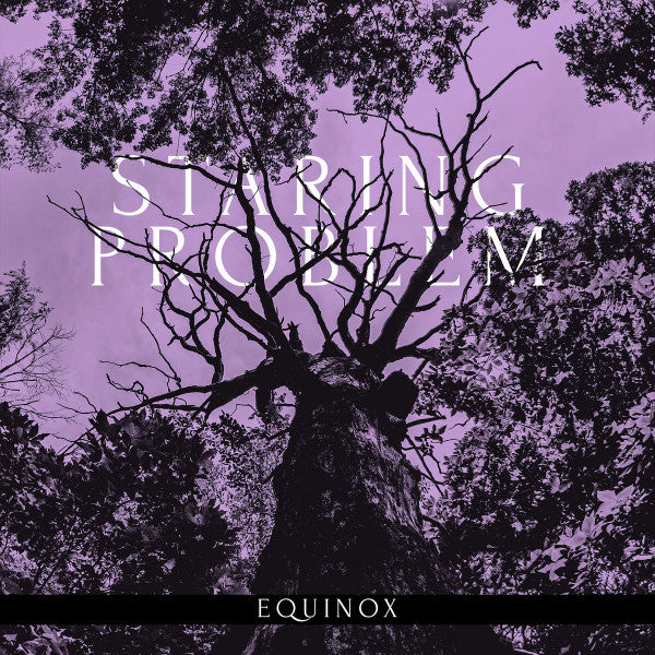 Staring Problem (2) : Equinox (LP, Ltd)