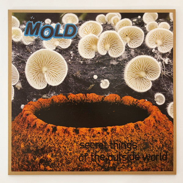 Mold (26) : Secret Things Of The Outside World (LP, Album)