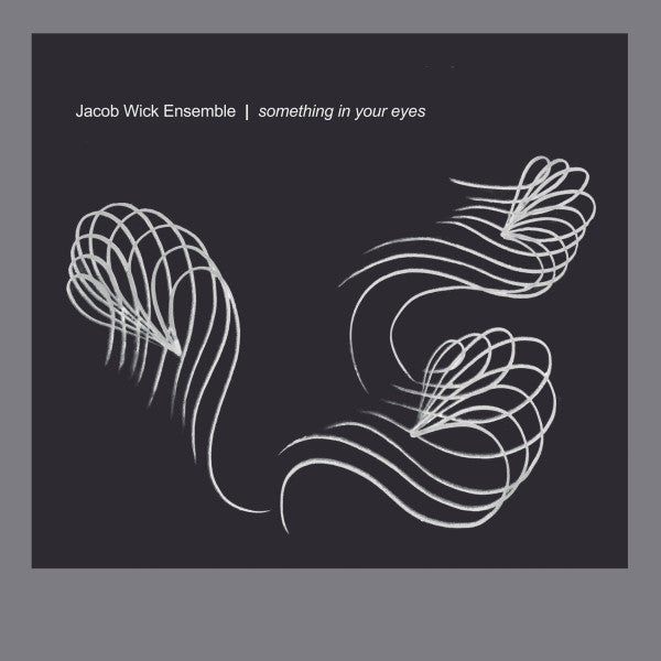 Jacob Wick Ensemble : Something In Your Eyes (CD, Album)