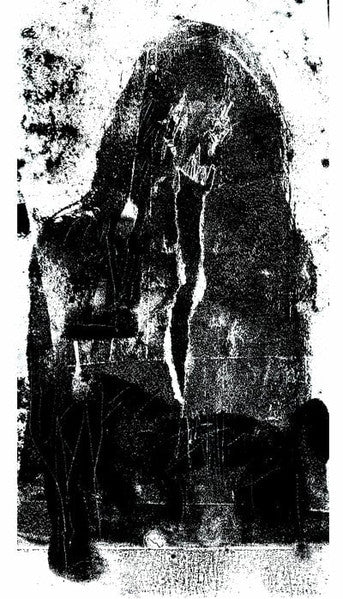 Fleshcarver : Devourer Of The Negative Ecstasy (Cass, Album, C30)