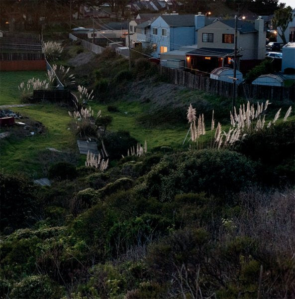 Sean McCann (4) : Sincere World (LP, Album)