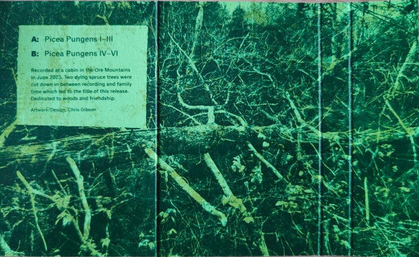 The ... / Talk=Trouble : Picea Pungens (Cass, Album)