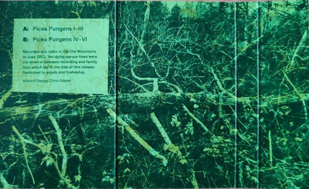 The ... / Talk=Trouble : Picea Pungens (Cass, Album)