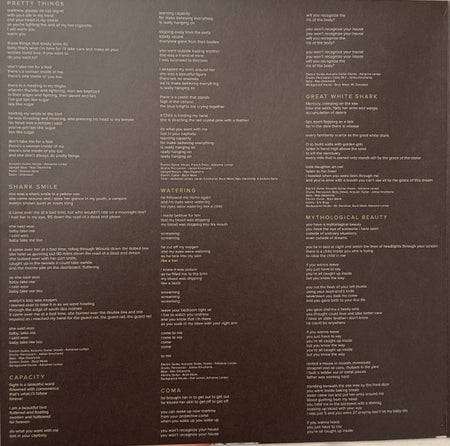 Big Thief : Capacity (LP, Album, RE)