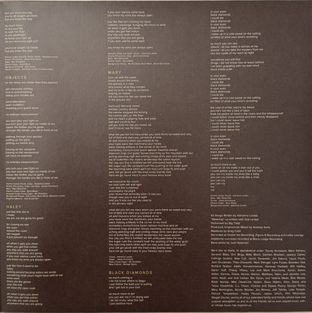 Big Thief : Capacity (LP, Album, RE)