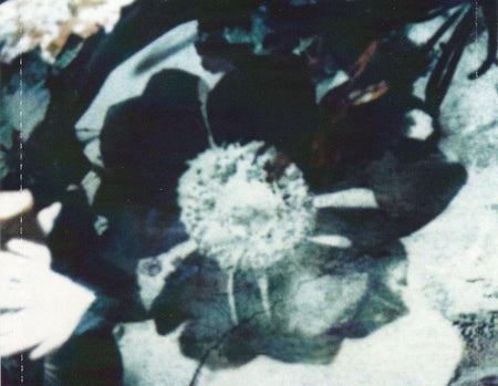 The Cure : Disintegration (CD, Album, RE, RM, EDC)