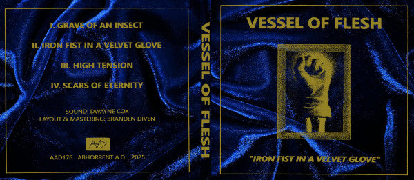 Vessel of Flesh : Iron Fist In A Velvet Glove (CD, Album)