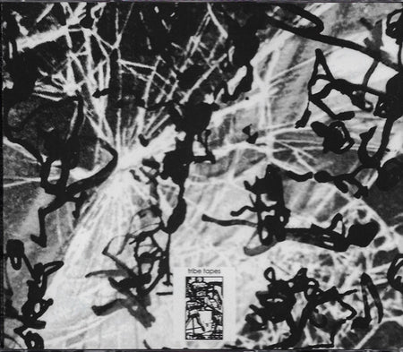 Confounder : Country Fucker (CD, Album)