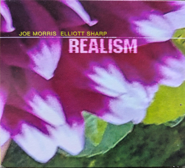 Joe Morris, Elliott Sharp : Realism (CD, Album)