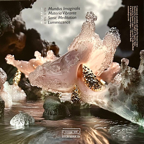 Susana López : Materia Vibrante (LP, Album, Ltd, Bla)