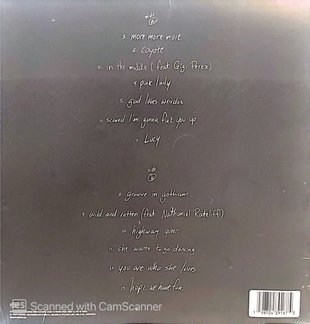 Mt. Joy : Hope We Have Fun (LP, Album, Gol)