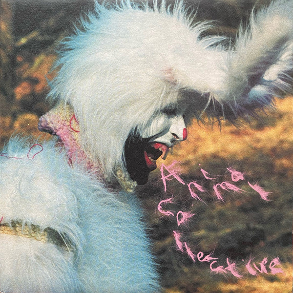 Animal Collective : Who Could Win A Rabbit (7", Single)