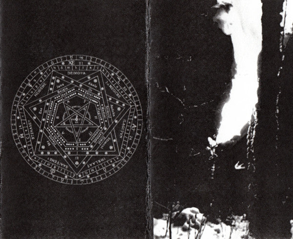 Wylve : Wylve (Cass, S/Sided, Ltd, Num)