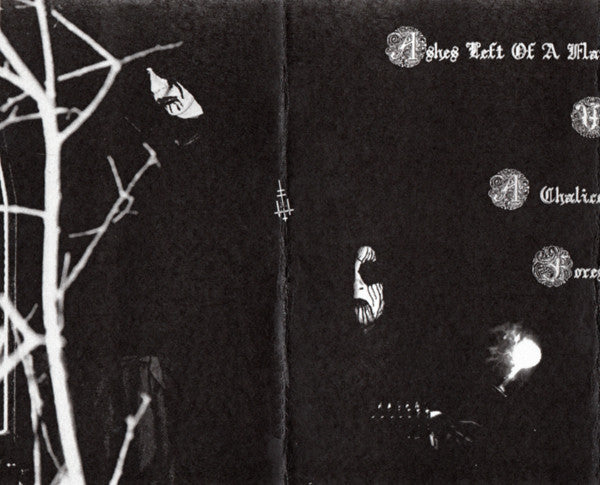 The Rain In Endless Fall : Weald Of Introspection (Cass, S/Sided, Ltd, Num)