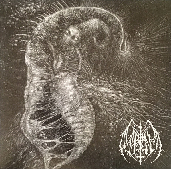 Ill Omen : Divinity Through Un-Creation (LP, Album, Ltd, Oxb)