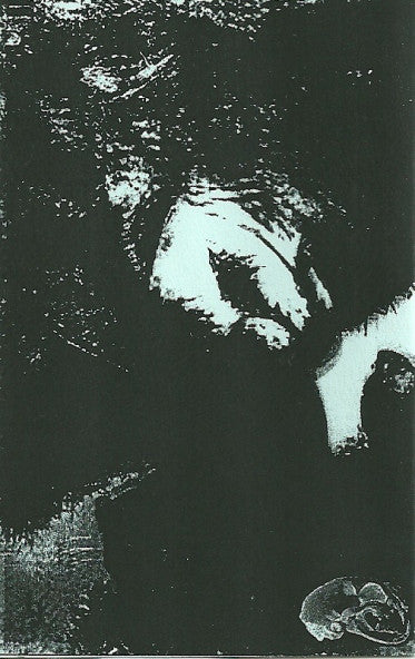 Lost Flood : Demo II (Cass, Ltd)