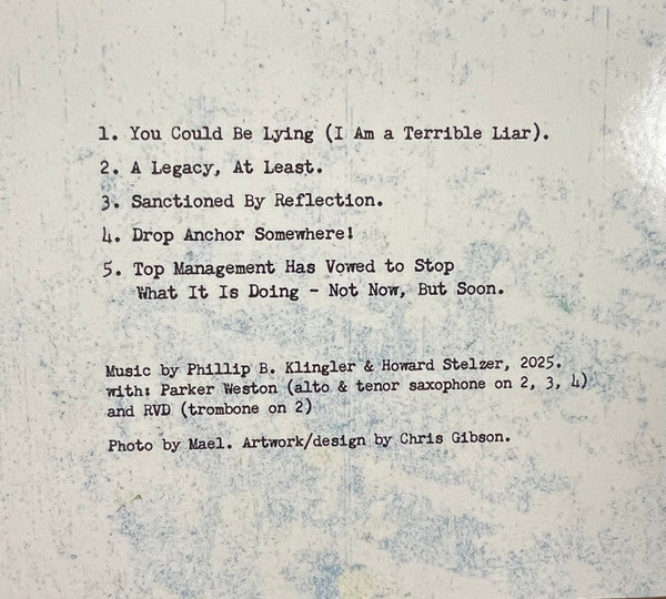 PBK & Howard Stelzer : She Thinks She's The State Department (CDr, Album)