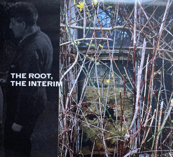 David Lacey : The Root, The Interim (CD, Ltd)