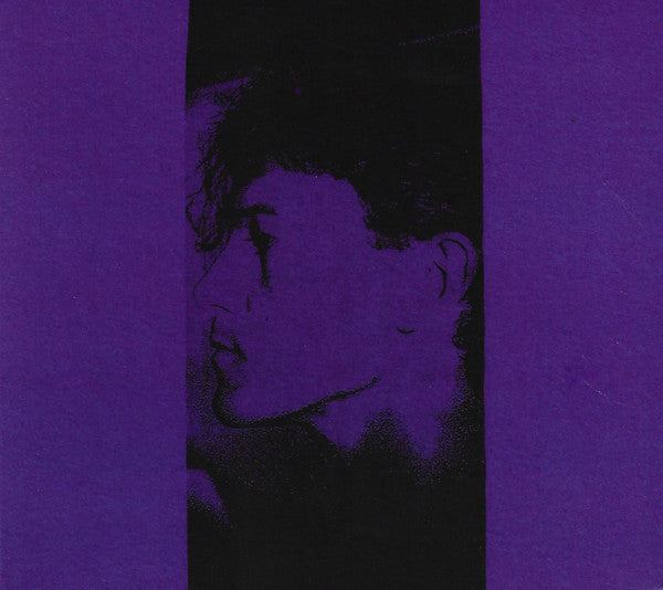 Dead Door Unit : Painted Windows (CD, Album)