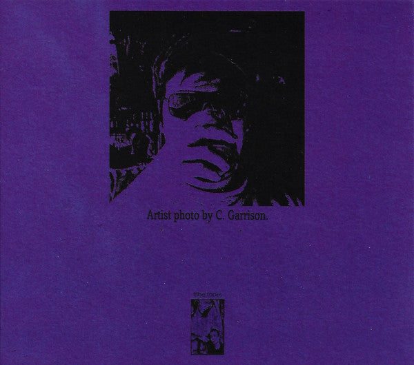 Dead Door Unit : Painted Windows (CD, Album)