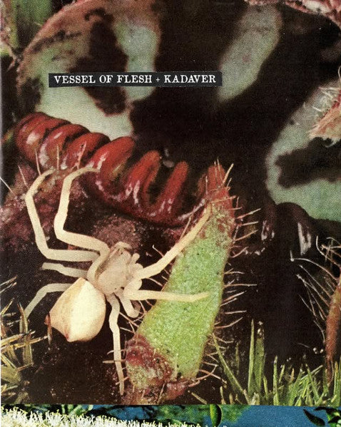 Vessel of Flesh + Kadaver (2) : Foxjaw (Cass, C30)