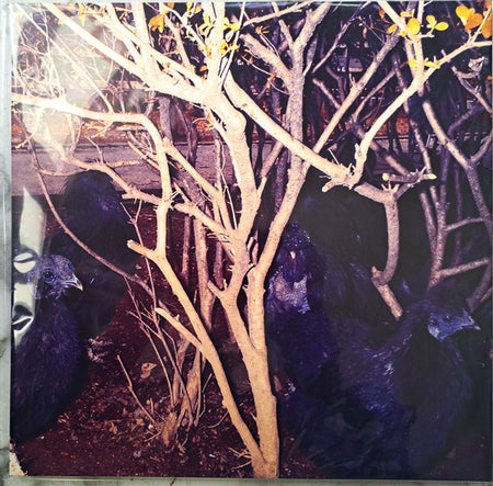 Merzbow : Animal Magnetism (2xLP, Album, Ltd, RE, RM)