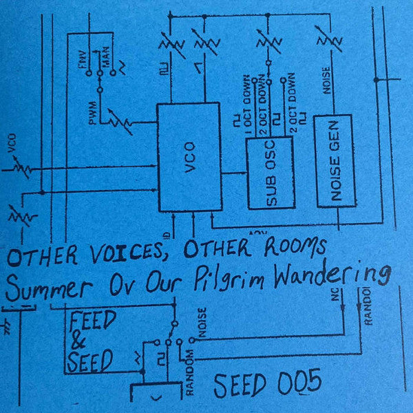Other Voices, Other Rooms : Summer Ov Our Pilgrim Wandering (Cass)